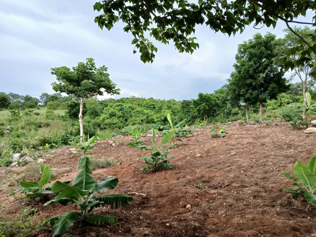 SIKHALO FOUNDATION PIONEERING SUSTAINABLE PROJECTS IN ZALEWA.